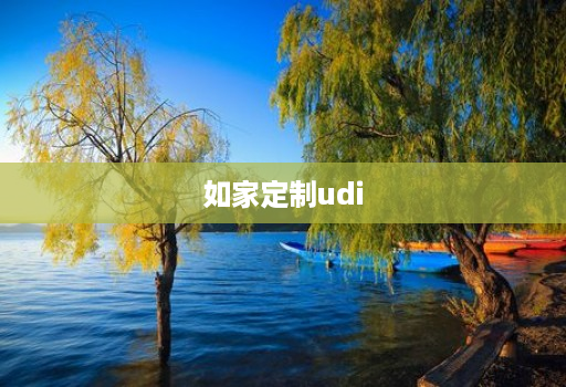 如家定制udi