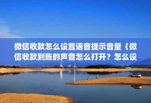 微信收款怎么设置语音提示音量(微信收款到账的声音怎么打开?怎么设置?)