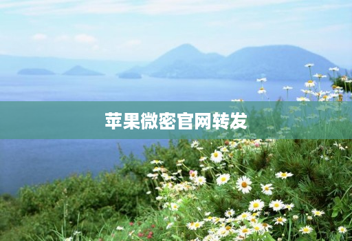 苹果微密官网转发