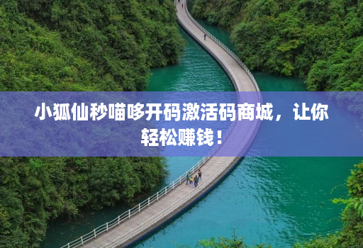 小狐仙秒喵哆开码激活码商城,让你轻松赚钱!