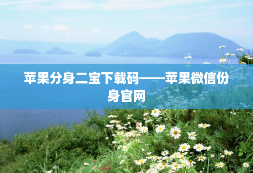 苹果分身二宝下载码——苹果微信份身官网