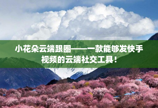 小花朵云端跟圈——一款能够发快手视频的云端社交工具!