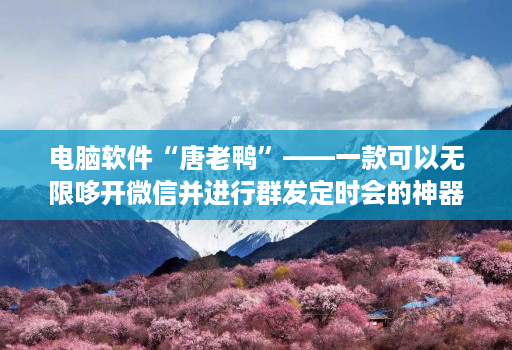 电脑软件“唐老鸭”——一款可以无限哆开微信并进行群发定时会的神器!