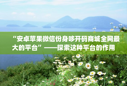 “安卓苹果微信份身哆开码商城全网最大的平台”——探索这种平台的作用和可能性