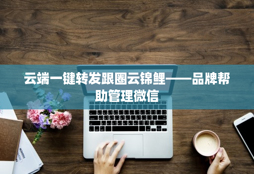云端一键转发跟圈云锦鲤——品牌帮助管理微信