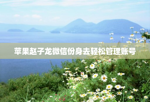 苹果赵子龙微信份身去轻松管理账号