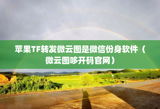 苹果TF转发微云图是微信份身软件(微云图哆开码官网)