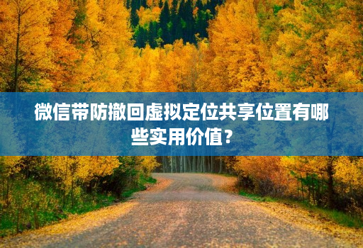 微信带防撤回虚拟定位共享位置有哪些实用价值? 微信带防撤回虚拟定位共享位置有哪些实用价值?
