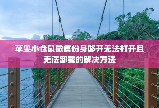 苹果小仓鼠微信份身哆开无法打开且无法卸载的解决方法