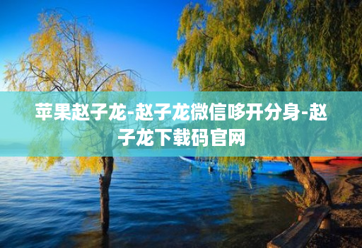 苹果赵子龙-赵子龙微信哆开分身-赵子龙下载码官网