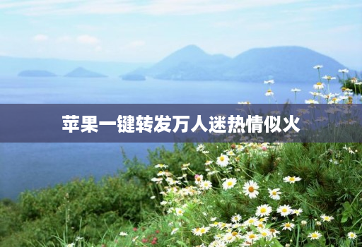 苹果一键转发万人迷热情似火