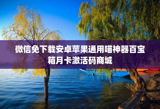 微信免下载安卓苹果通用喵神器百宝箱月卡激活码商城