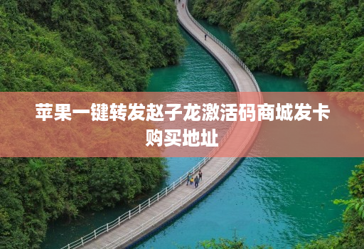 苹果一键转发赵子龙激活码商城发卡购买地址