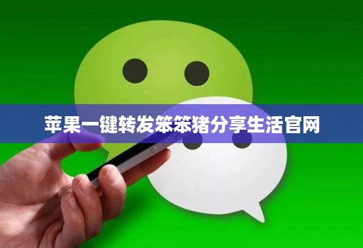 苹果一键转发笨笨猪分享生活官网
