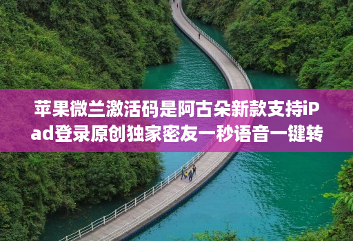 苹果微兰激活码是阿古朵新款支持iPad登录原创独家密友一秒语音一键转语音