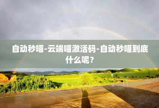自动秒喵-云端喵激活码-自动秒喵到底什么呢?