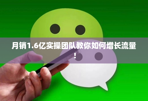 月销1.6亿实操团队教你如何增长流量!