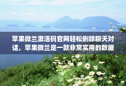 苹果微兰激活码官网轻松删除聊天对话,苹果微兰是一款非常实用的数据管理工具
