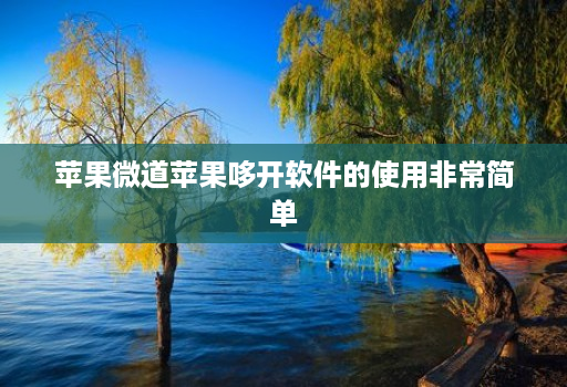 苹果微道苹果哆开软件的使用非常简单