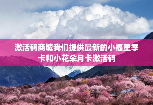 激活码商城我们提供最新的小福星季卡和小花朵月卡激活码