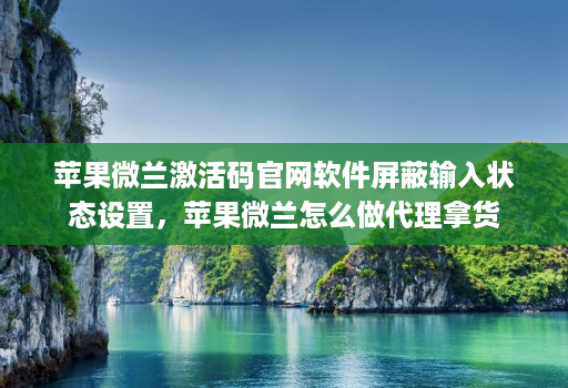 苹果微兰激活码官网软件屏蔽输入状态设置,苹果微兰怎么做代理拿货