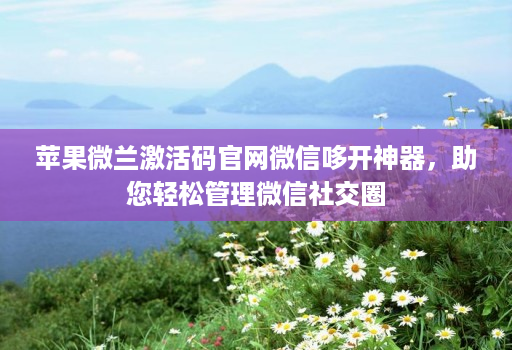 苹果微兰激活码官网微信哆开神器,助您轻松管理微信社交圈