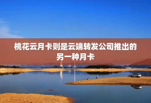 桃花云月卡则是云端转发公司推出的另一种月卡