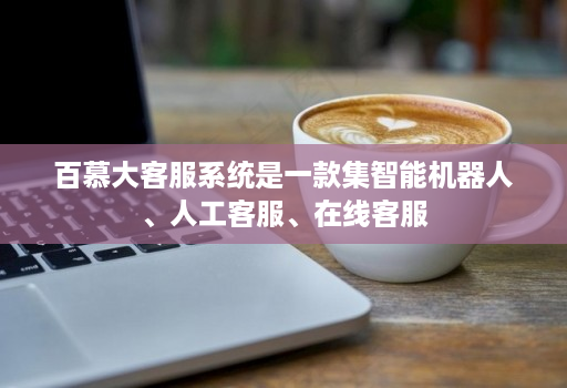 百慕大客服系统是一款集智能机器人、人工客服、在线客服 百慕大客服系统是一款集智能机器人、人工客服、在线客服