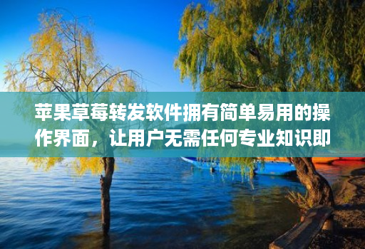 苹果草莓转发软件拥有简单易用的操作界面,让用户无需任何专业知识即可上手操作