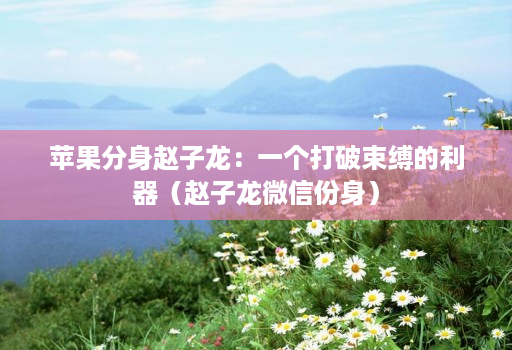 苹果分身赵子龙:一个打破束缚的利器(赵子龙微信份身)