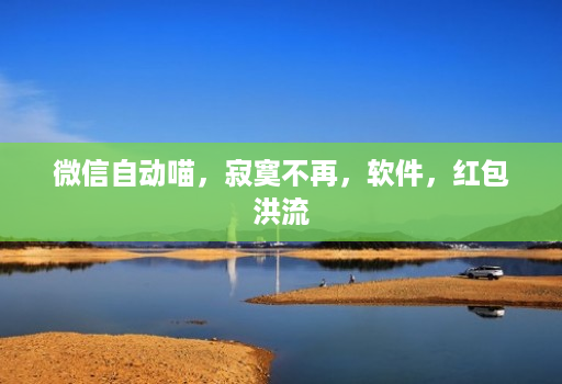 微信自动喵,寂寞不再,软件,红包洪流 微信自动喵,寂寞不再,软件,红包洪流
