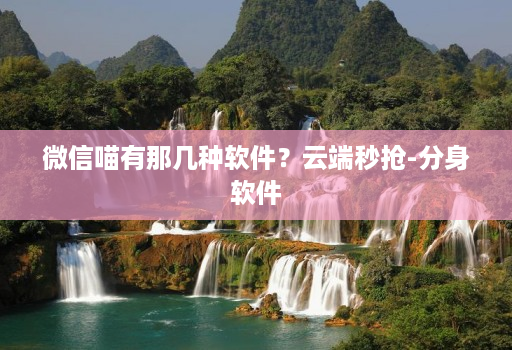 微信喵有那几种软件?云端秒抢-分身软件 微信喵有那几种软件?云端秒抢-分身软件