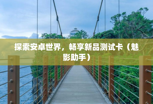 探索安卓世界,畅享新品测试卡(魅影助手)