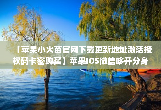 【苹果小火苗官网下载更新地址激活授权码卡密购买】苹果IOS微信哆开分身万群直播讲课微信群发微信密友语音转发虚拟定位【万人迷同款】