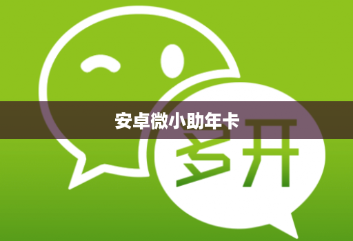 安卓微小助年卡