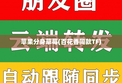 苹果分身草莓(百花香同款TF)