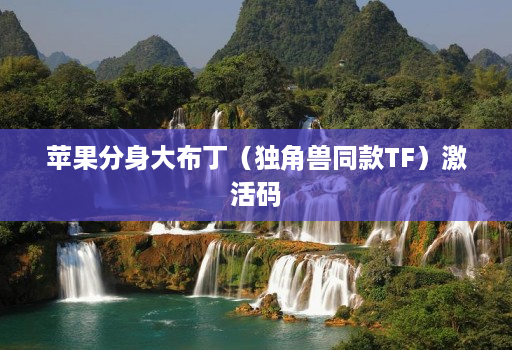 苹果分身大布丁(独角兽同款TF)激活码