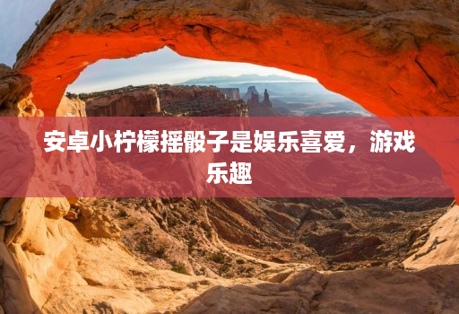 安卓小柠檬摇骰子是娱乐喜爱,游戏乐趣