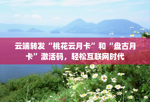 云端转发“桃花云月卡”和“盘古月卡”激活码,轻松互联网时代