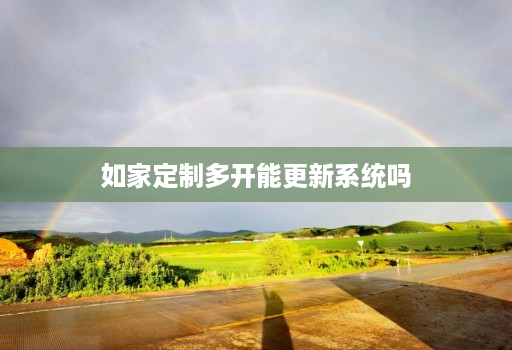 如家定制多开能更新系统吗