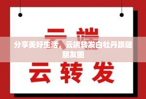 分享美好生活,云端转发白牡丹跟随朋友圈