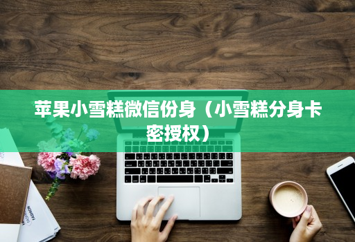 苹果小雪糕微信份身(小雪糕分身卡密授权)