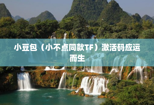 小豆包(小不点同款TF)激活码应运而生