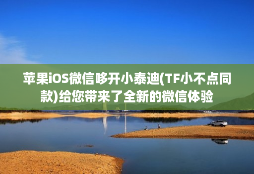 苹果iOS微信哆开小泰迪(TF小不点同款)给您带来了全新的微信体验