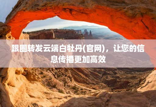 跟圈转发云端白牡丹(官网),让您的信息传播更加高效