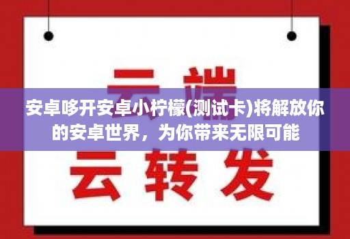 安卓哆开安卓小柠檬(测试卡)将解放你的安卓世界,为你带来无限可能