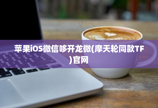 苹果iOS微信哆开龙微(摩天轮同款TF)官网