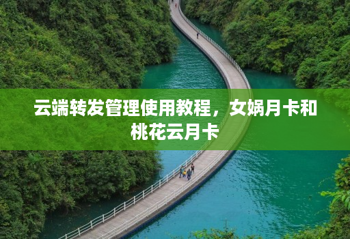 云端转发管理使用教程,女娲月卡和桃花云月卡