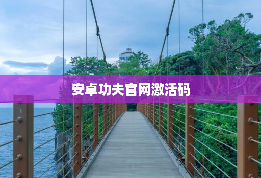 安卓功夫官网激活码