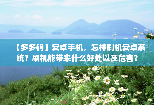 【多多码】安卓手机,怎样刷机安卓系统?刷机能带来什么好处以及危害?